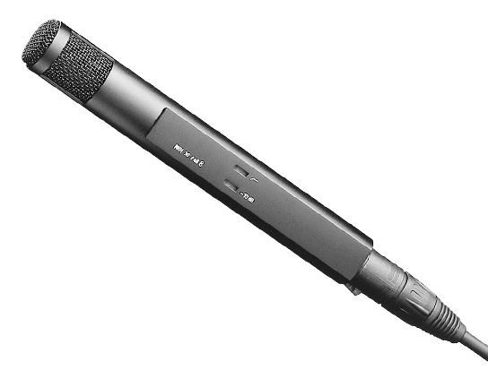 Sennheiser MKH 30-P48