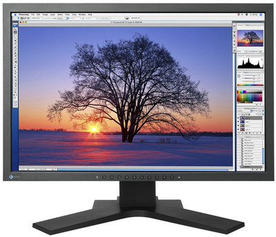 EIZO 22" ColorEdge CG222WK