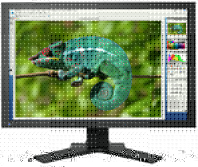 EIZO 24.1" ColorEdge CG242WK