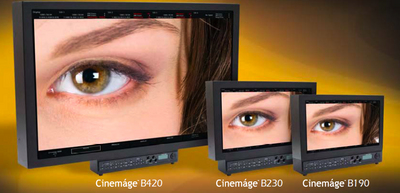 Cine-Tal Cinemage 2000 (24 inch, 8 bit LCD panel)