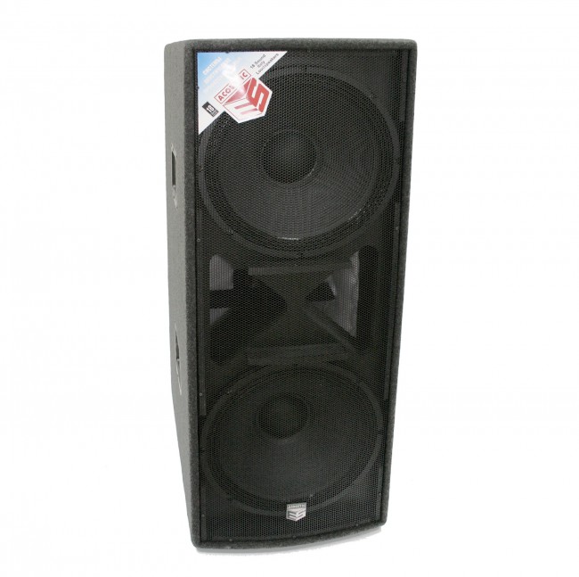 ES-ACOUSTIC 218S P4