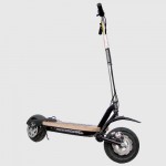 Go-ped ESR750H (SLA)