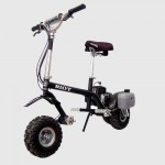 Go-ped RIOT 29