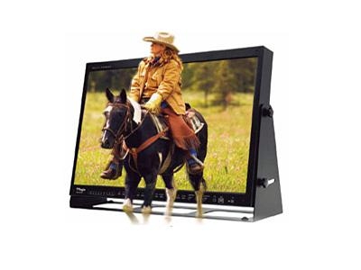 TVLOGIC TDM-243W